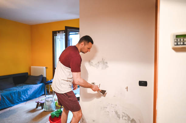 Best Toxic Mold Removal  in Rochester, PA